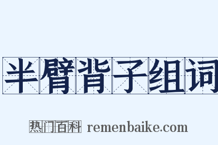 半臂背子组词是什么意思的图片